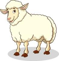 ilustración de un oveja en pie en un fila en un blanco antecedentes vector