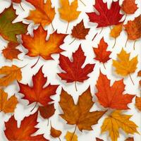 Autumn leaves on white background. Flat lay, top view, AI Generated photo