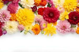 Colorful flowers composition on white background photo