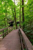 Russell Cave National Monument photo