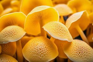 Yellow macro mushroom. Generate Ai photo