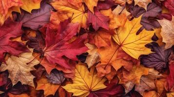 Ai, Ai generated, red autumn leaves background,  Vibrant autumn leaf texture create a natural and colorful seasonal backdrop photo
