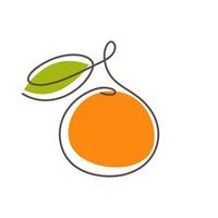 Orange, tangerine, mandarin one line drawing art. Vector illustration isolated on white background. Citrus fruit line art. Simple minimalist style