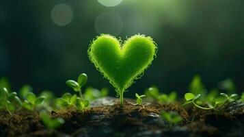 Plant growing out of a heart shaped soil with bokeh background. photo