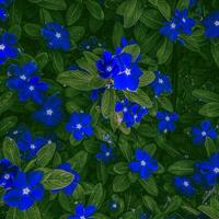 A bunch of blue flowers with green background photo