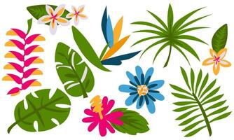 Vector set of tropical leaves. Palm, banana leaf and hibiscus flowers, plumeria, strelitzia, passionflower, heliconia on a white background. Collection for parties in an exotic style