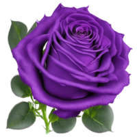 Vibrant Colored Roses AI Generated png