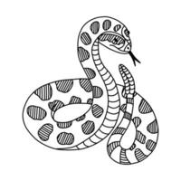 Hand drawn snake with rattle doodle with outline. Jungle or zoo rattlesnake standing in action with tongue out. Tropical or Wild West poison viper in front view. Vector green dangerous serpent.