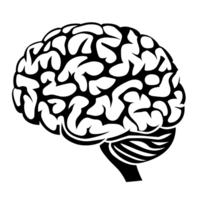 Human brain medical icon illustration isolated on white background, AI Generative png