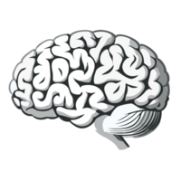 humano cerebro médico icono ilustración aislado en blanco fondo, ai generativo png