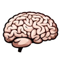 humano cérebro ícone. isolado transparente fundo, ai generativo png