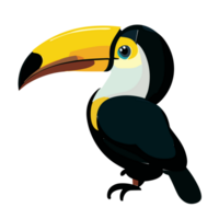 Toucans Bird  isolated transparent background. AI Generative png