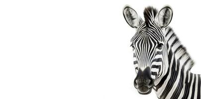 Black and white realistic African Mountain zebra Generative AI photo