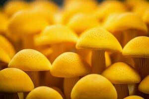 Yellow macro mushroom. Generate Ai photo
