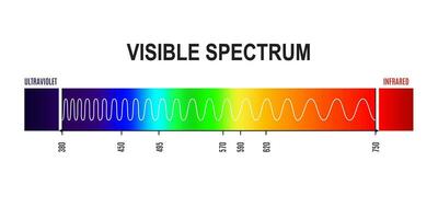 Wavelength, visible light spectrum wave graph vector