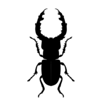 Käfer Silhouette Illustration png transparent Hintergrund