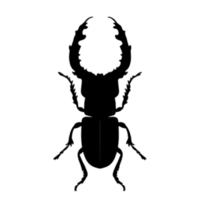 Beetle Silhouette Illustration PNG Transparent Background