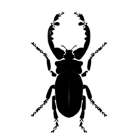 Beetle Silhouette Illustration PNG Transparent Background