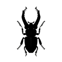 Käfer Silhouette Illustration png transparent Hintergrund