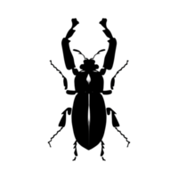 escarabajo silueta ilustración png transparente antecedentes
