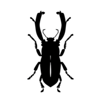 Beetle Silhouette Illustration PNG Transparent Background