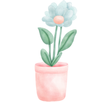 fiori in vaso png