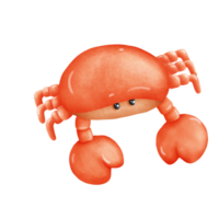 Crabe mer nourriture png