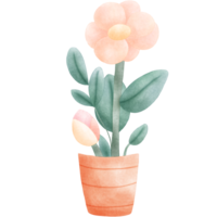 fiori in vaso png