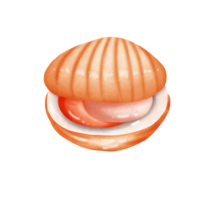 mollusco e frutti di mare png