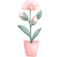 fiori in vaso png