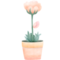 fiori in vaso png