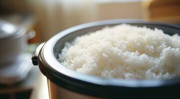 Rice in electrical rice cooker photo