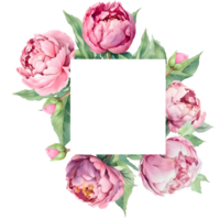 Watercolor square frame with pink peonies. Great for cards and wedding invitations AI Generative png