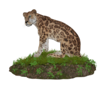 tigre isolado 3d png