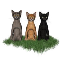 3 schattig katten geïsoleerd png