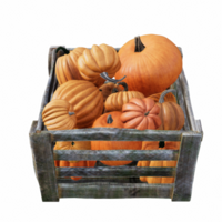 helloween pumpkin isolated 3d png