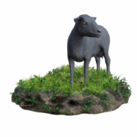 Schaf isoliert 3d png