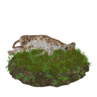 tiger isolerat 3d png