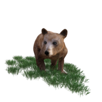 3d representación de un marrón oso en césped png
