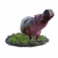 hipopótamo isolado 3d png