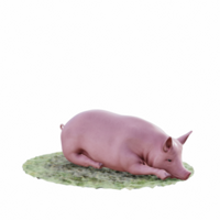 Schwein isoliert 3d png