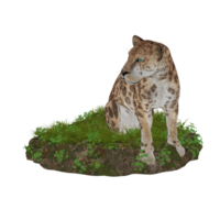 Tiger isoliert 3d png