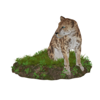 tigre isolado 3d png