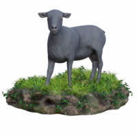 Sheep isolated 3d png