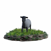 Sheep isolated 3d png