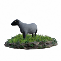 Sheep isolated 3d png