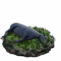 Sheep isolated 3d png