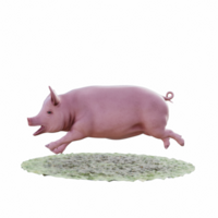 porc isolé 3d png