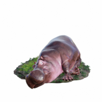 hippopotamus isolated 3d png