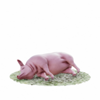 maiale isolato 3d png